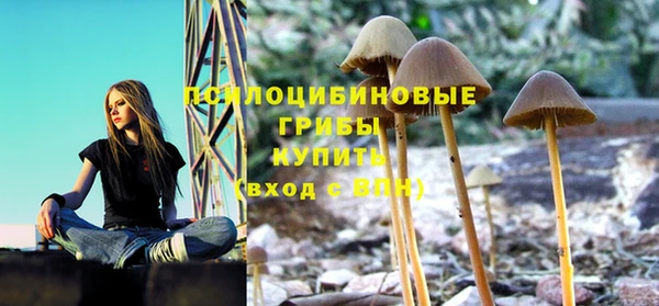 PSILOCYBIN Каменск-Шахтинский