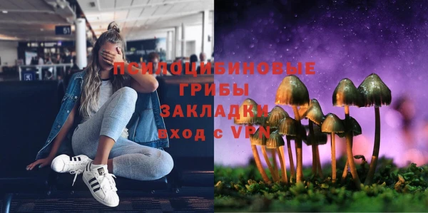 марки nbome Каменка