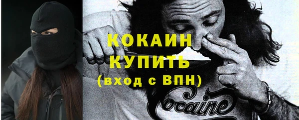 МДПВ Каменногорск