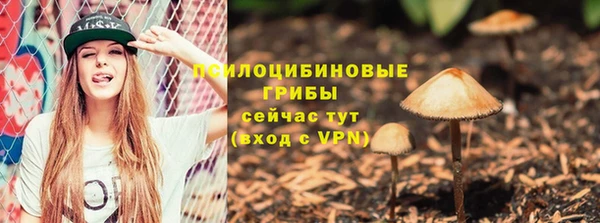 МДПВ Каменногорск