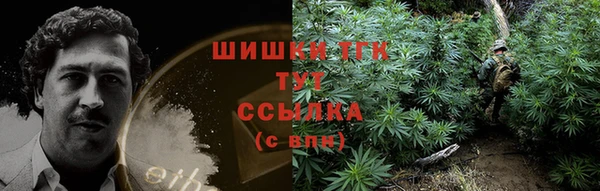 PSILOCYBIN Каменск-Шахтинский