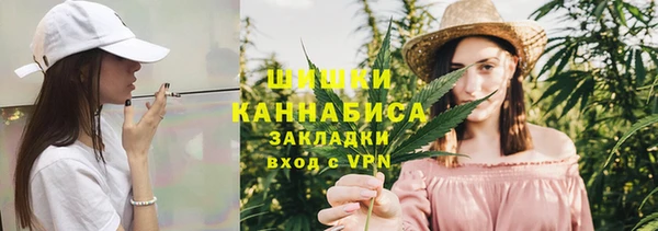 МДПВ Каменногорск