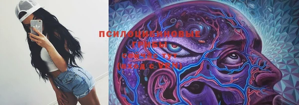 МДПВ Каменногорск