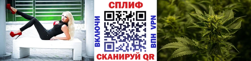 Купить  Тула  МАРИХУАНА сатива 